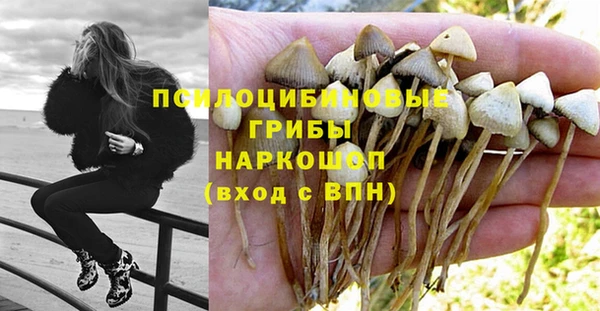 a pvp Верхний Тагил