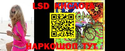 шишки Лесосибирск