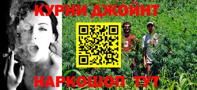 шишки Лесосибирск
