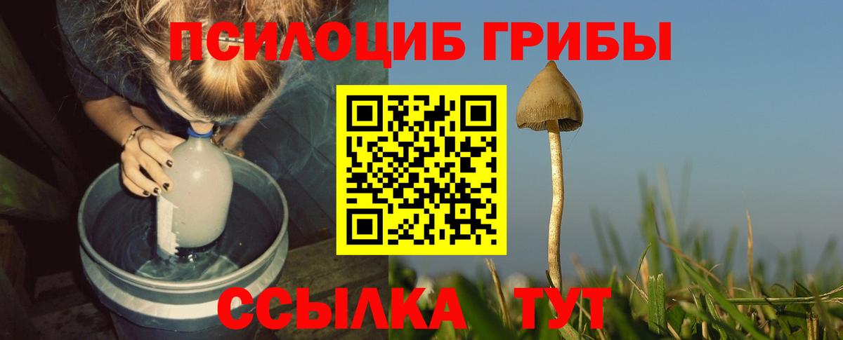 Псилоцибиновые грибы Cubensis  Вход с VPN  Рузаевка 